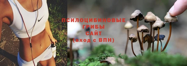 кокаин колумбия Алексин
