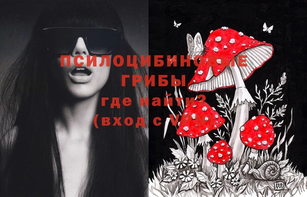 стаф Алексеевка