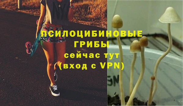 стаф Алексеевка